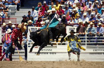 Rodeo, Cheyenne, Wyoming