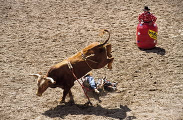 Rodeo Cheyenne, Wyoming, USA